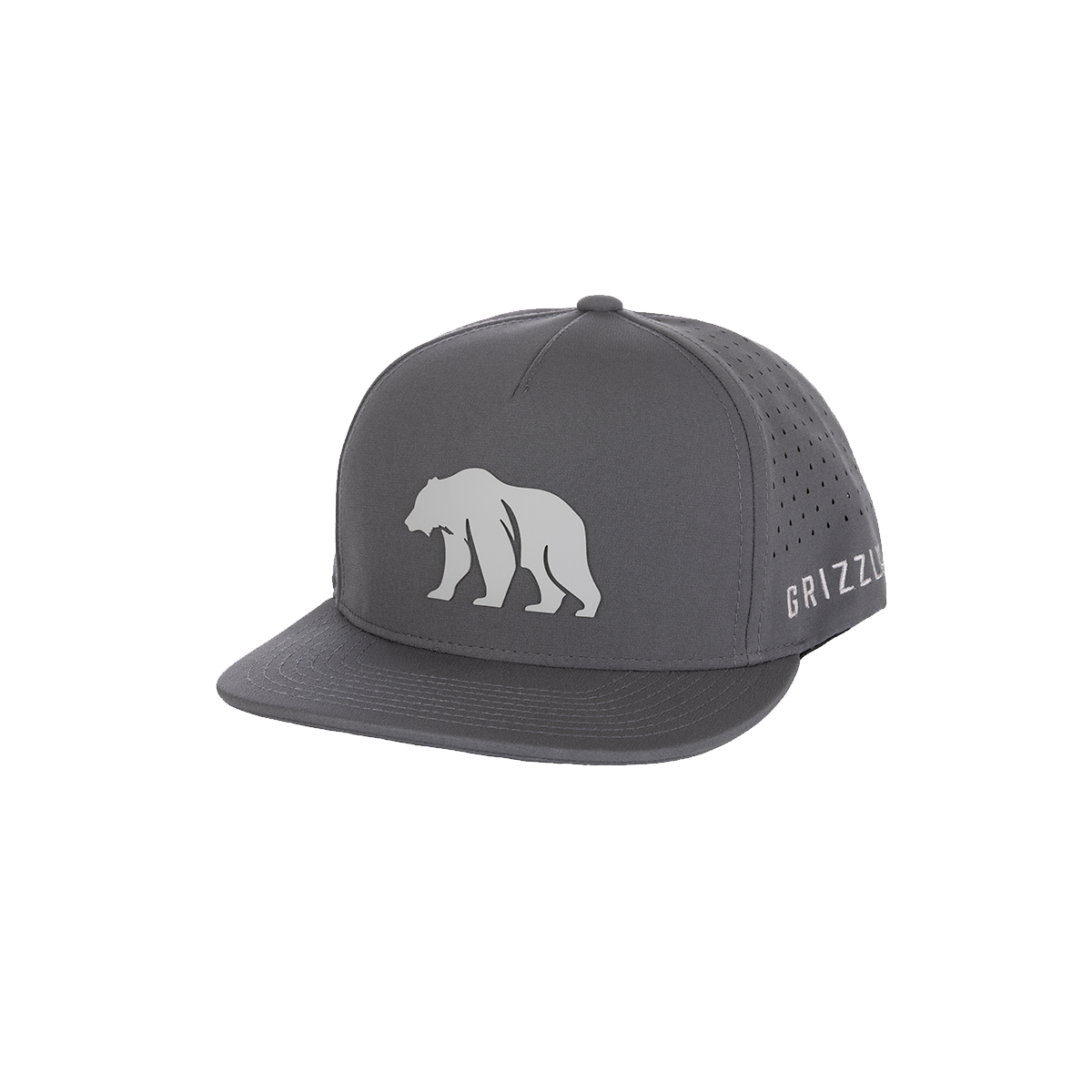 Grizzly_GrayHat